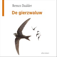 De gierzwaluw