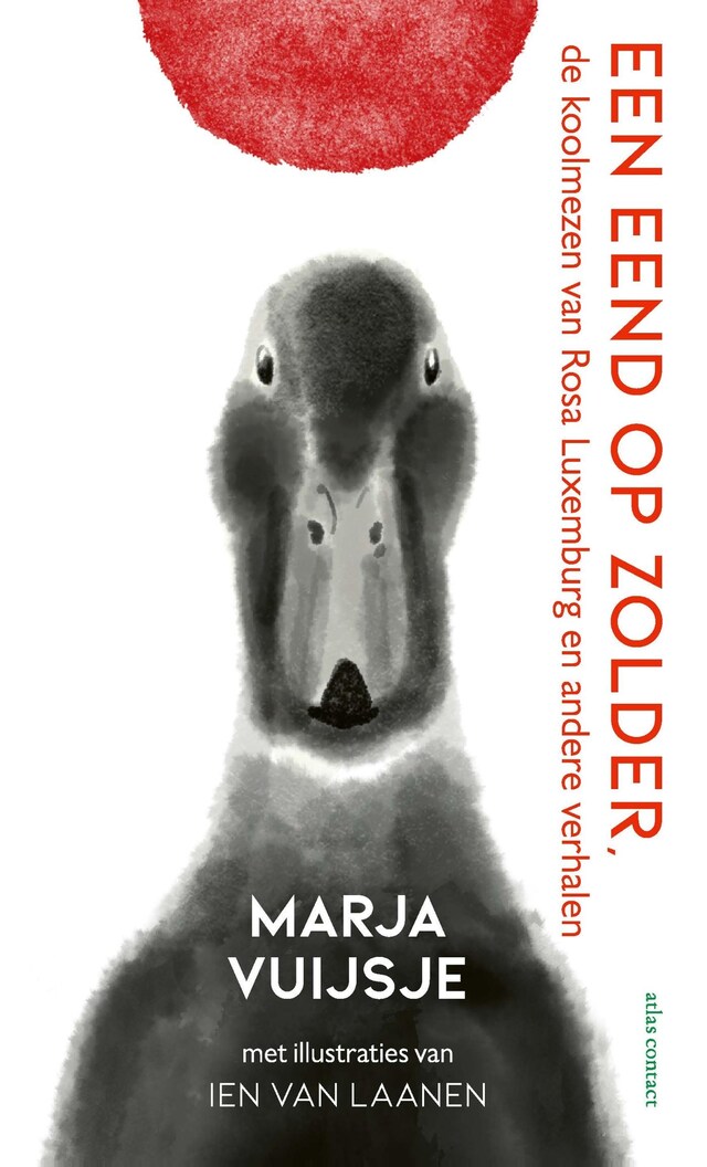 Book cover for Een eend op zolder