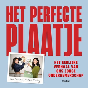 Het perfecte plaatje - luisterboek
