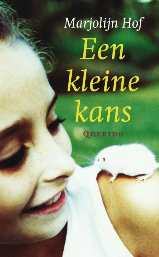 Book cover for Een kleine kans