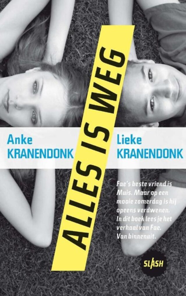 Book cover for Alles is weg