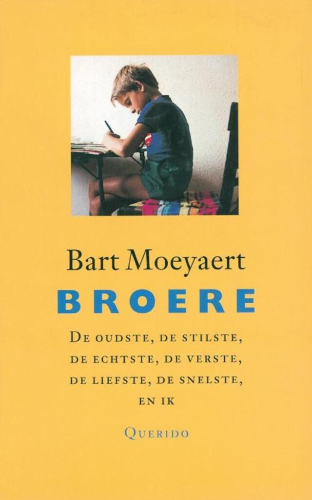 Copertina del libro per Broere