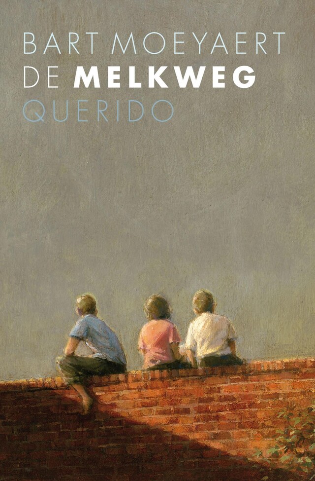 Book cover for De melkweg