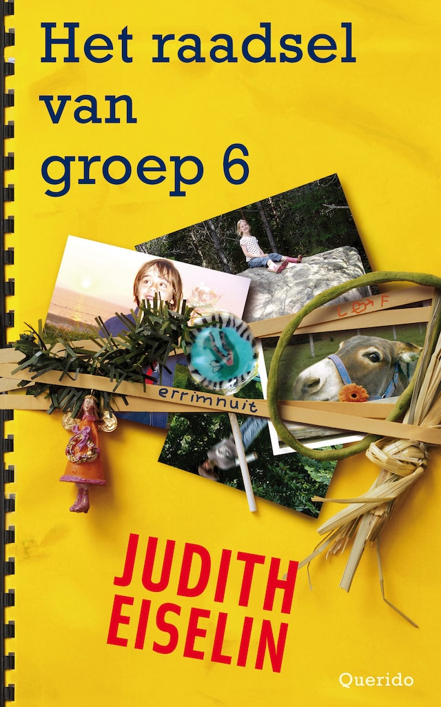 Okładka książki dla Het raadsel van groep 6