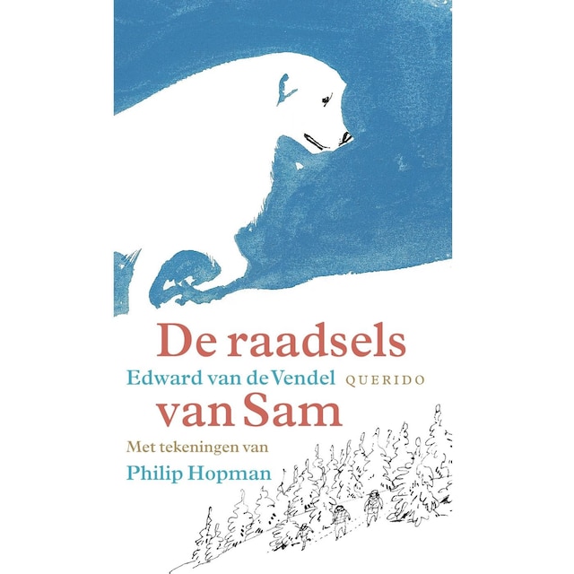 Copertina del libro per De raadsels van Sam