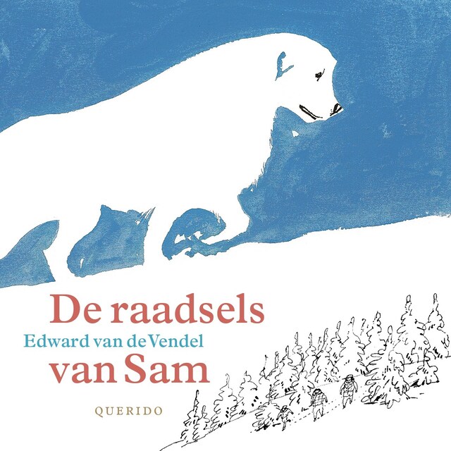 Boekomslag van De raadsels van Sam