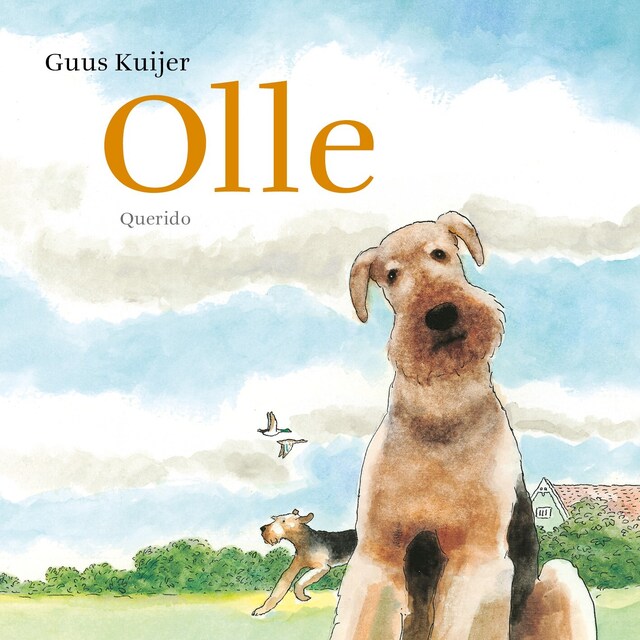 Olle Boekomslag van Olle