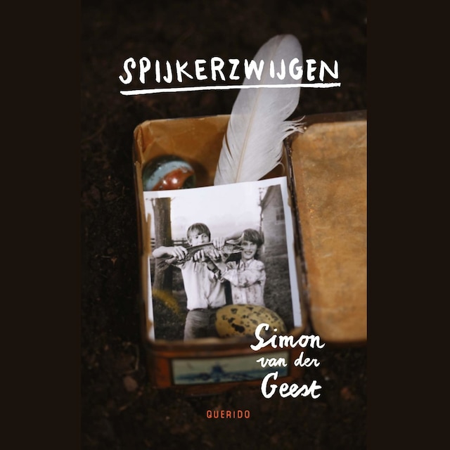 Book cover for Spijkerzwijgen