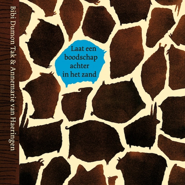 Book cover for Laat een boodschap achter in het zand