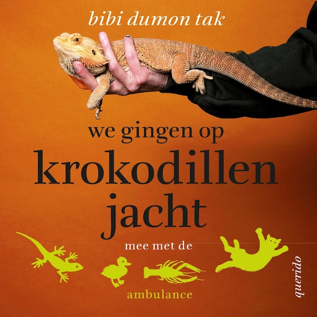 Book cover for We gingen op krokodillenjacht