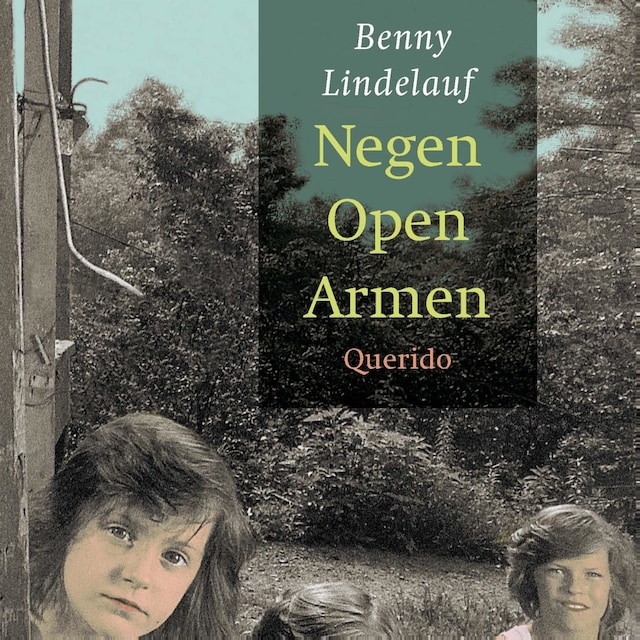 Book cover for Negen Open Armen