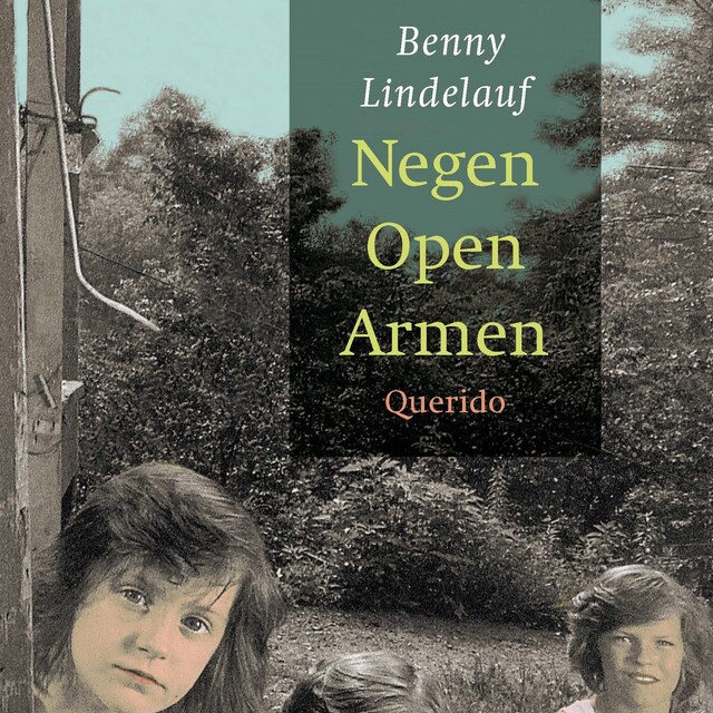 Copertina del libro per Negen Open Armen