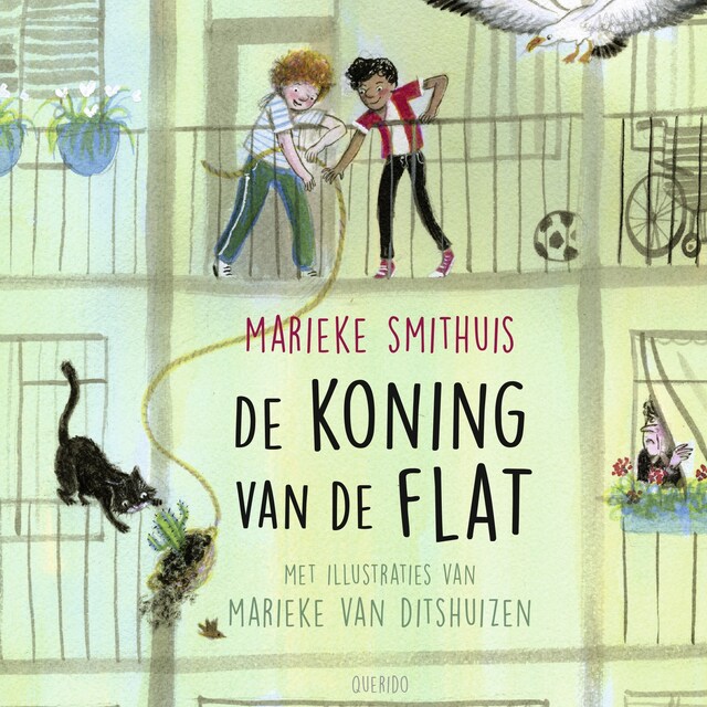 Couverture de livre pour De koning van de flat