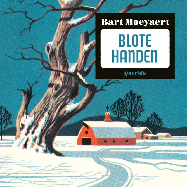 Couverture de livre pour Blote handen