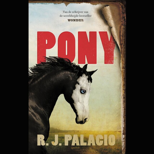 Copertina del libro per Pony