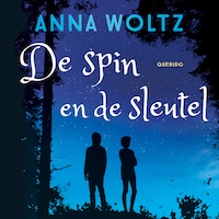 De spin en de sleutel