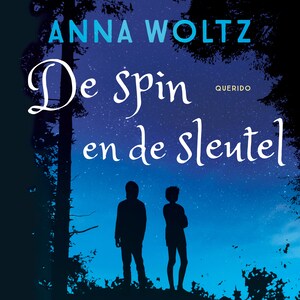 De spin en de sleutel - luisterboek
