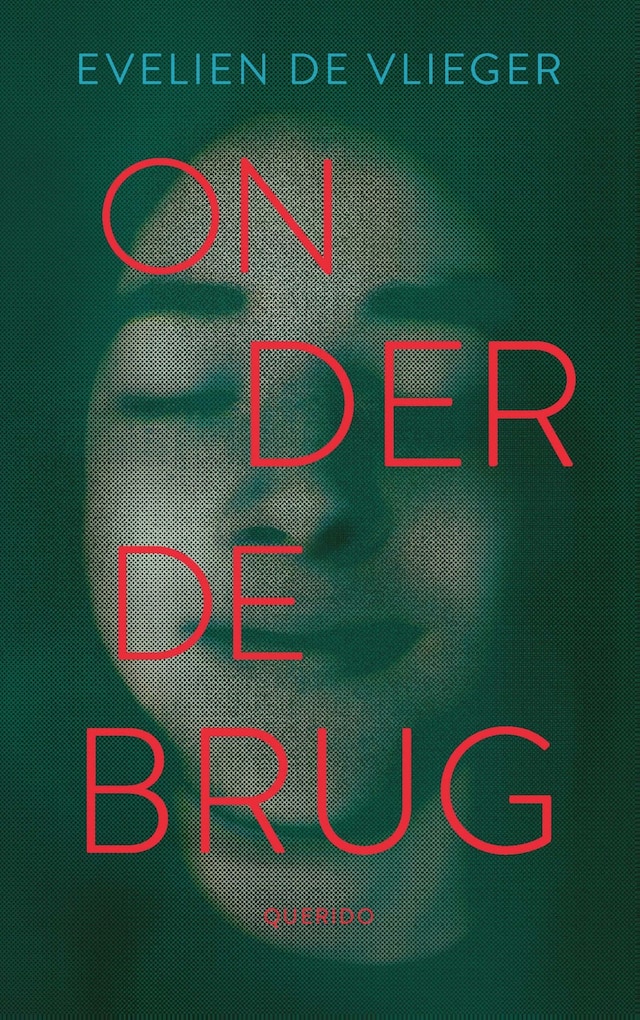 Boekomslag van Onder de brug