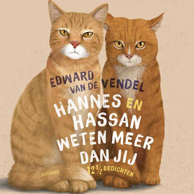 Bokomslag for Hannes en Hassan weten meer dan jij