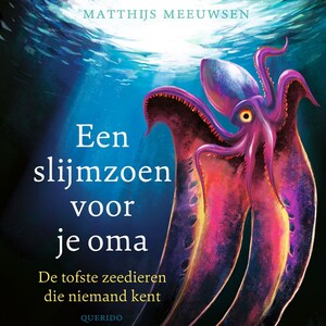 Een slijmzoen voor je oma - luisterboek