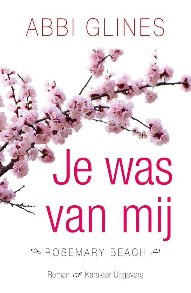 Book cover for Je was van mij