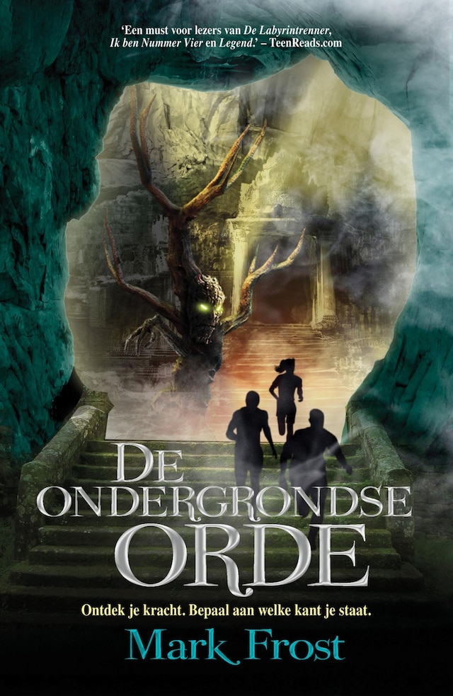 Book cover for De ondergrondse orde