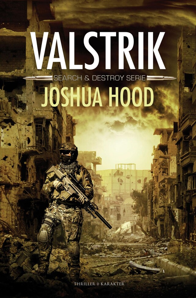 Buchcover für Valstrik