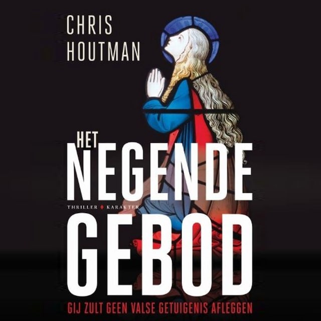 Buchcover für Het negende gebod