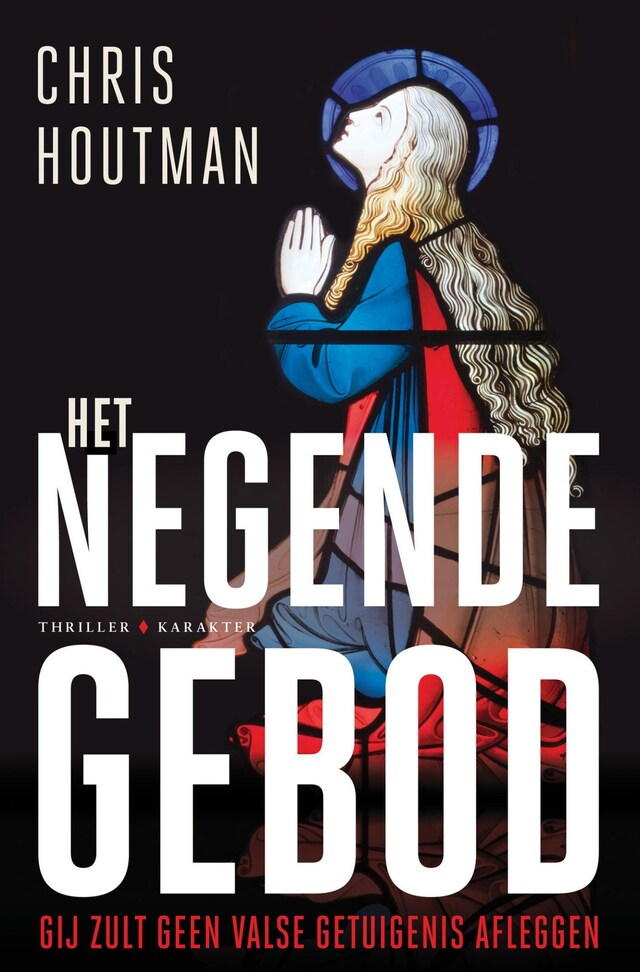 Copertina del libro per Het negende gebod