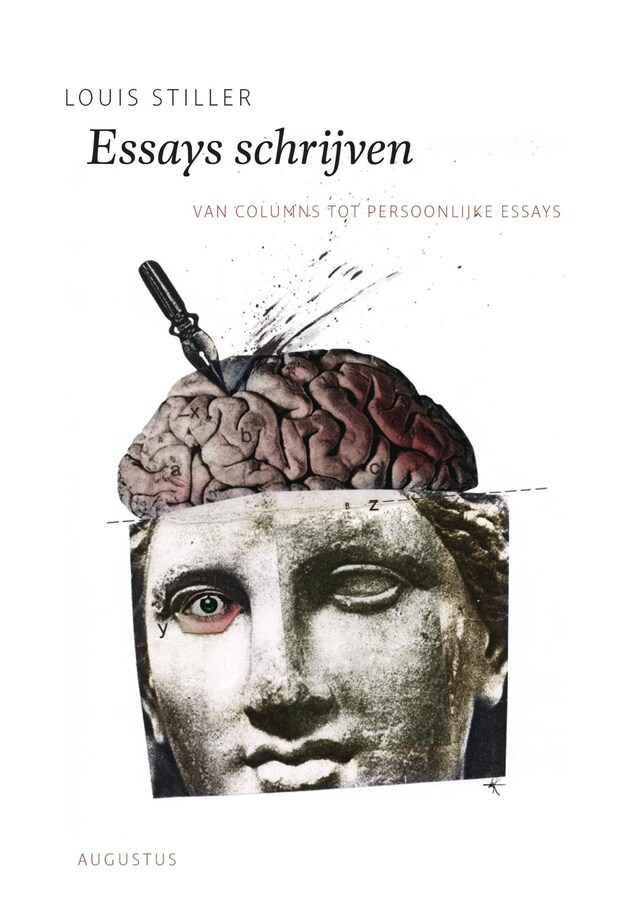 Book cover for Essays schrijven