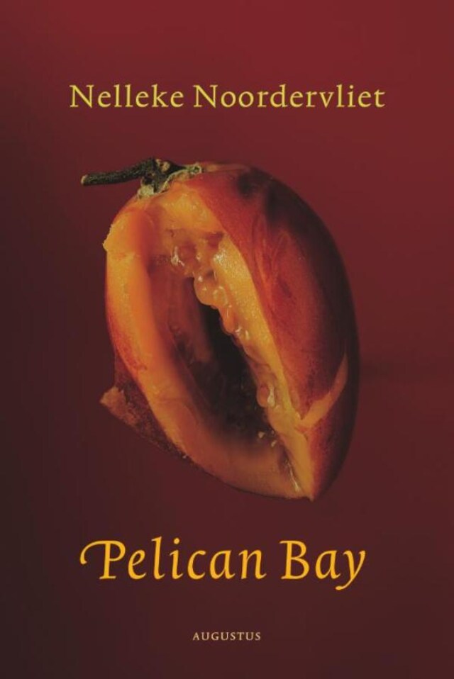 Buchcover für Pelican bay