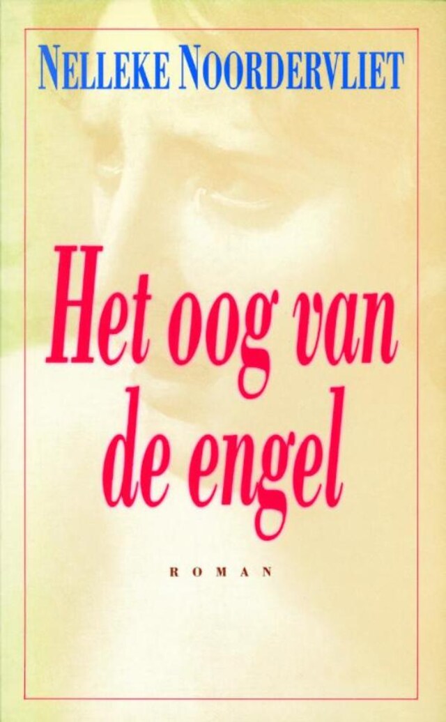 Book cover for Het oog van de engel