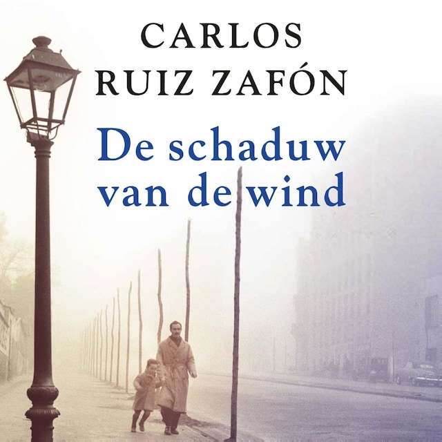 Book cover for De schaduw van de wind