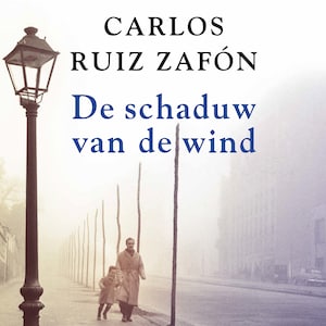 De schaduw van de wind - luisterboek