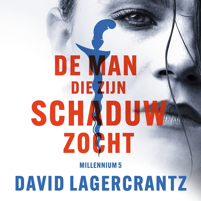 Book cover for De man die zijn schaduw zocht