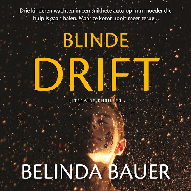 Book cover for Blinde drift