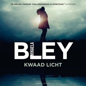 Kwaad licht - luisterboek