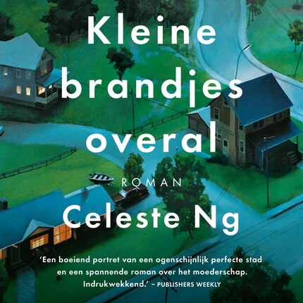 Kleine brandjes overal bookCoverFor