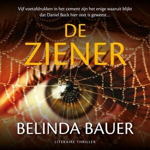 De ziener - luisterboek