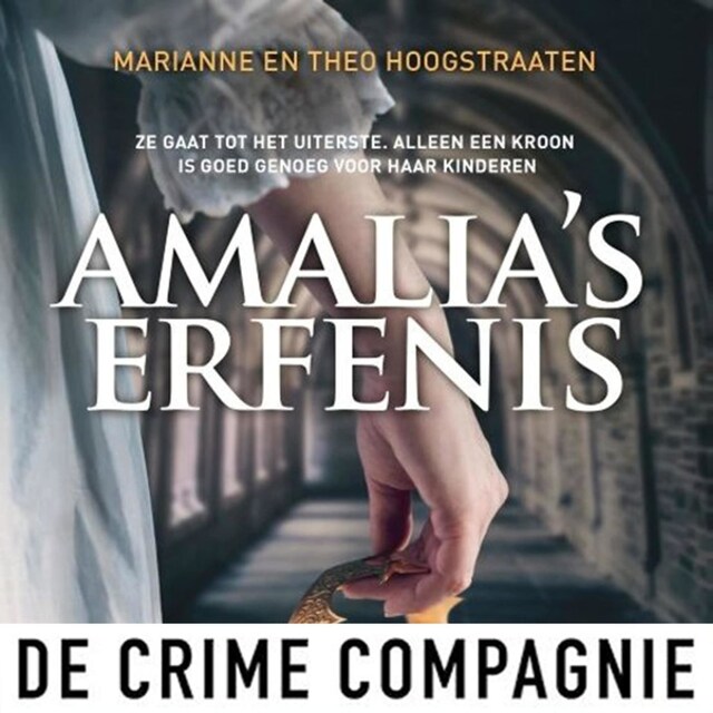 Book cover for Amalia's erfenis