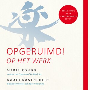 Opgeruimd! Op het werk - luisterboek