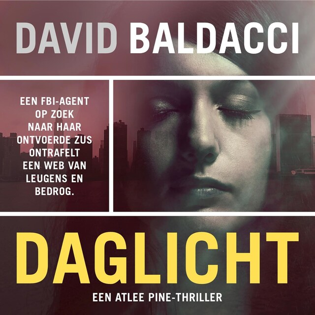 Book cover for Daglicht