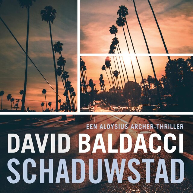 Book cover for Schaduwstad