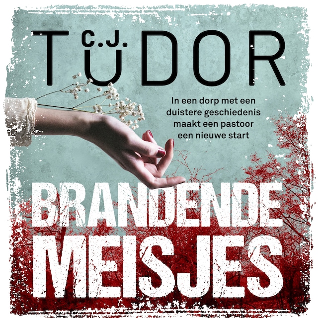 Book cover for Brandende meisjes