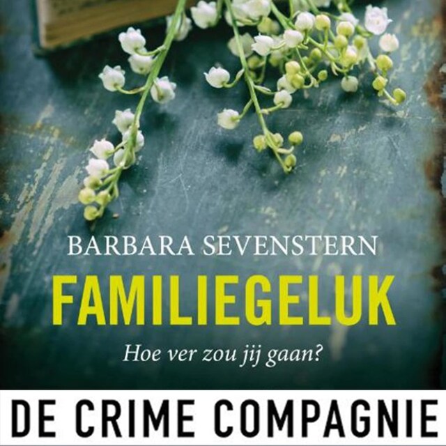Book cover for Familiegeluk