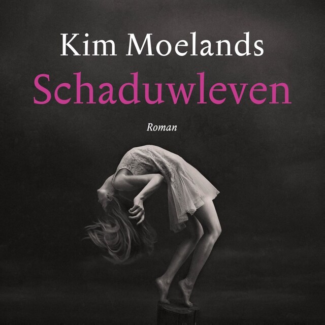 Book cover for Schaduwleven