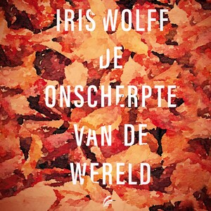 De onscherpte van de wereld - luisterboek