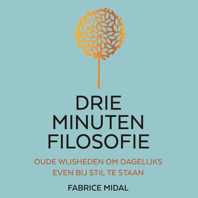 Copertina del libro per Drie minuten filosofie