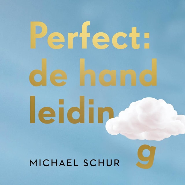 Book cover for Perfect: de handleiding