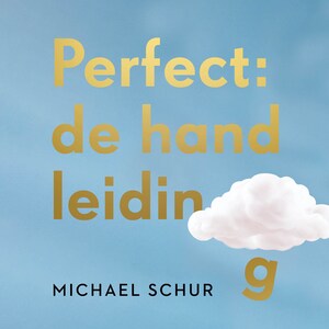 Perfect: de handleiding - luisterboek